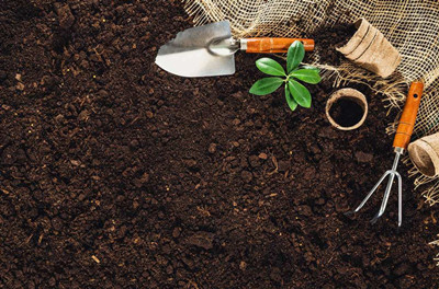 调理土壤用什么肥料好（改良土壤的肥料）第1张图片