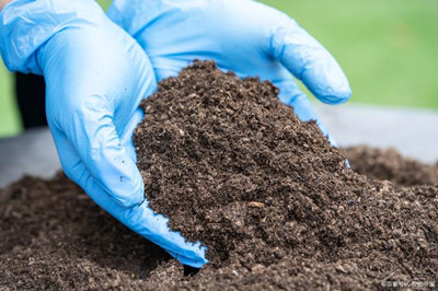 解决土壤板结用什么肥料？老司机来告诉你！第1张图片